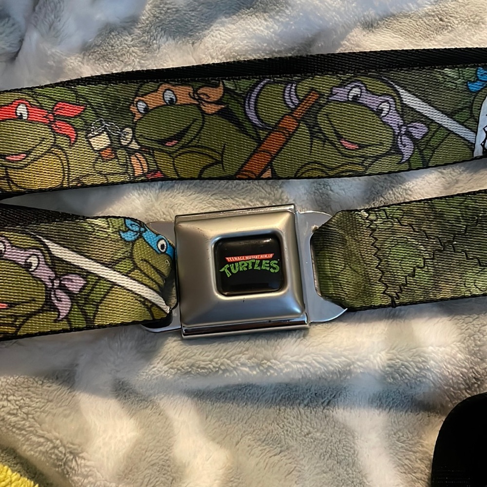 Buckle Down 2014 Teenage Mutant Ninja Turtles Buckle Belt